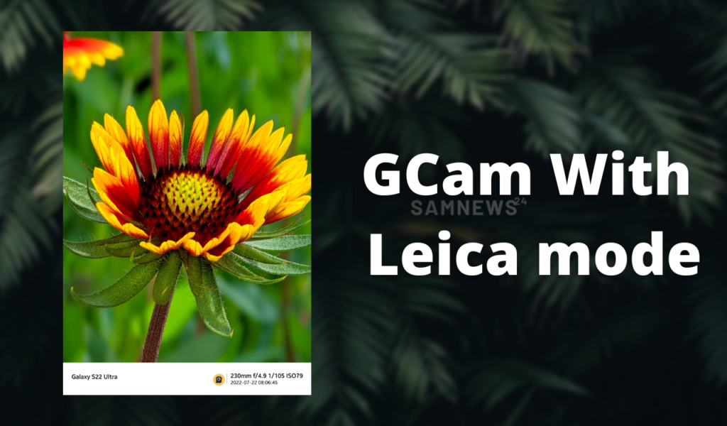 GCam With Leica mode