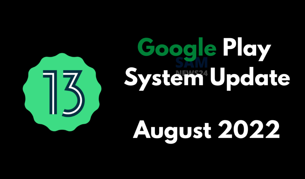 Google Play System Update August 2022 (1)