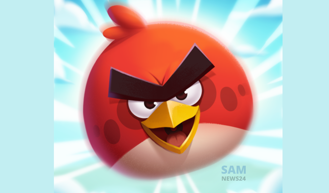 The first Angry Birds game quit from Play Store