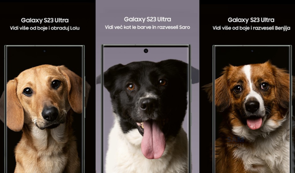 Samsung starts See Beyond Color initiative with local animal shelters